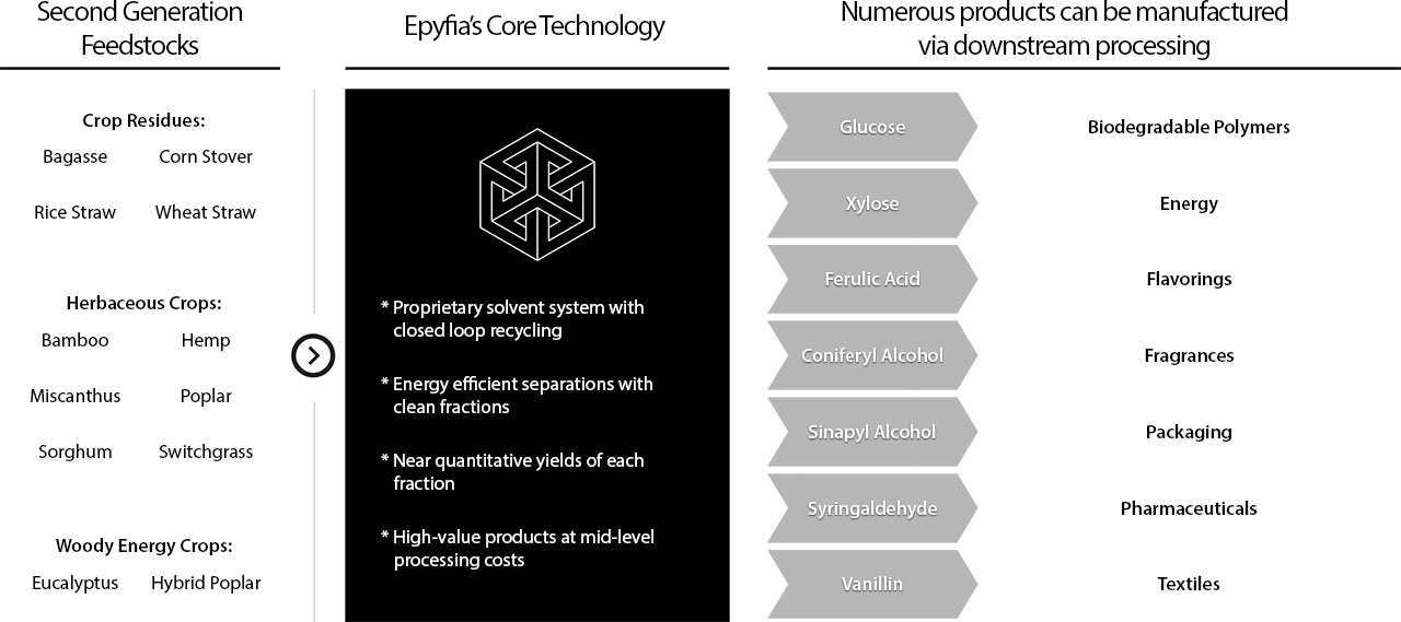 Processing Overview